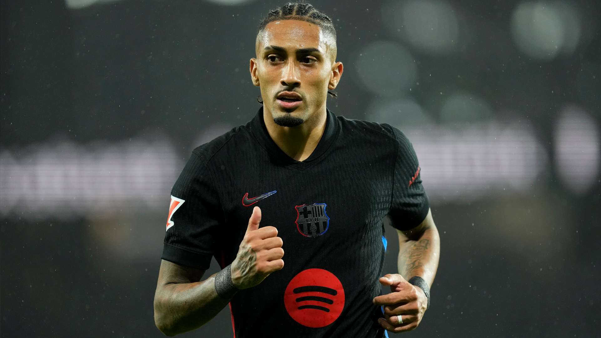 面性和适应 面性和适应