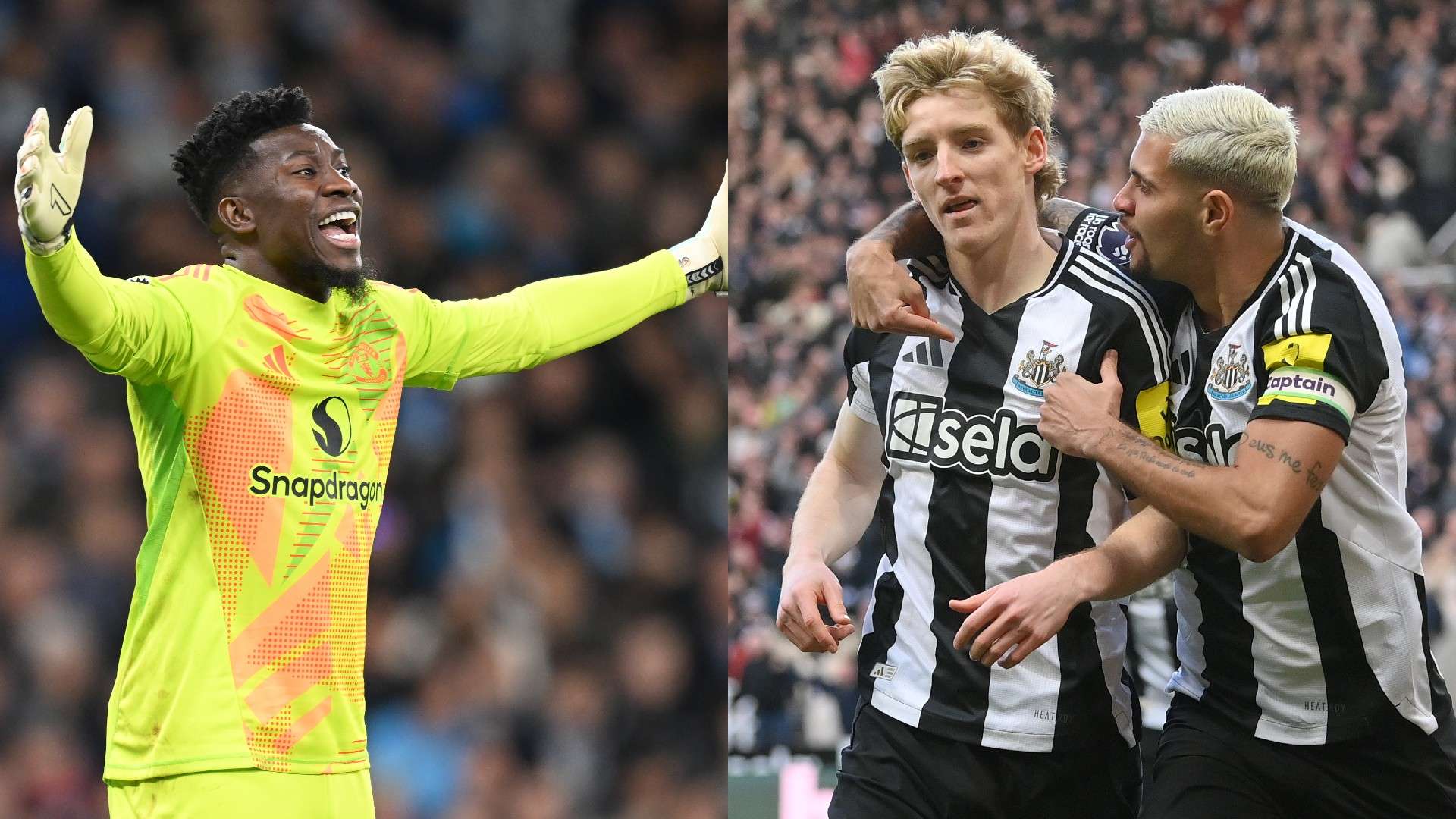 有的不確定 有的不確定